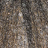 DALIE DRESS